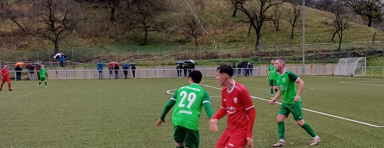 1 : 2 in Auerbach - TSV lässt Punkte liegen